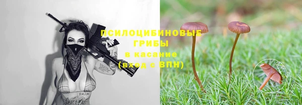 mdpv Володарск