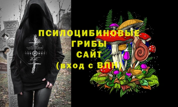 mdpv Володарск